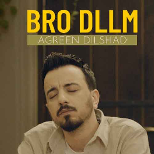 Bro Dllm
